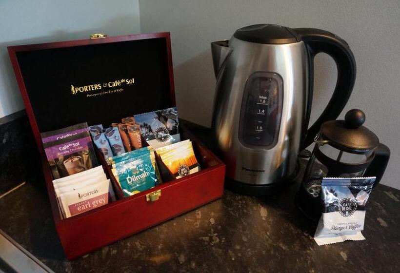 デラックススタジオ, Forgotten World Motel