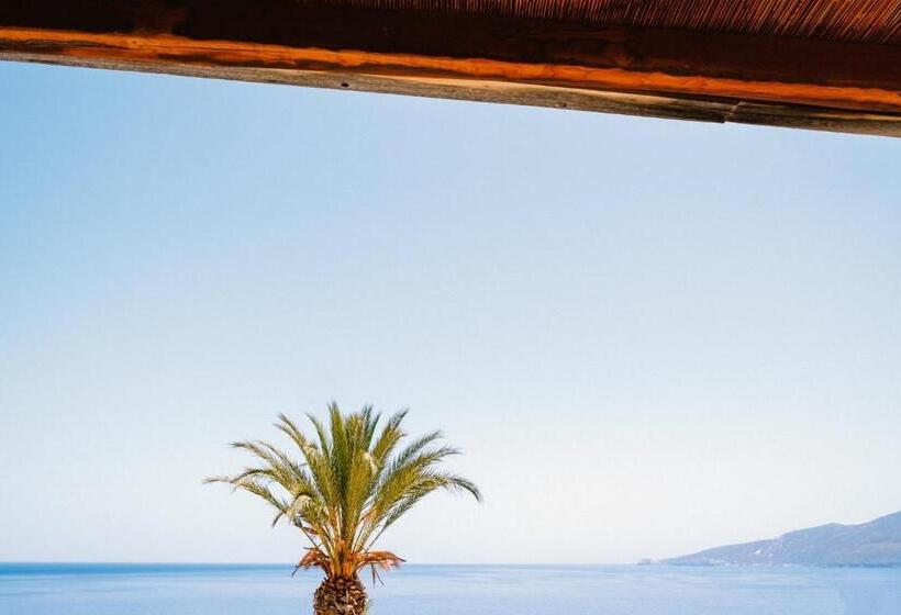 جناح جونيور مزوَّد بتراس, Arcangelo   Salina