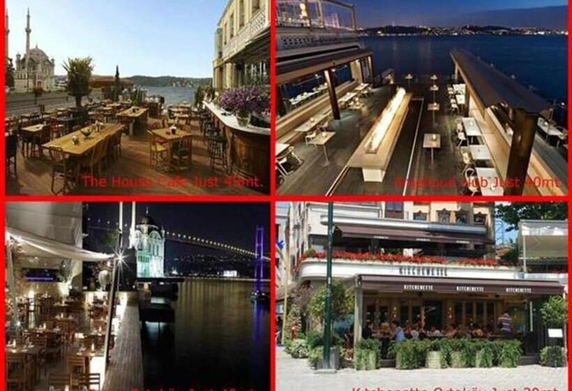 آپارتمان 1 خوابه با چشم‌انداز باغ, Ortakoy Aysem Sultan