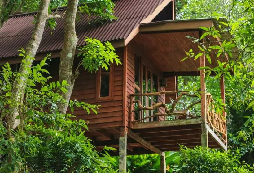 Bungalow Standard, Phi Phi Sunset Bay Resort