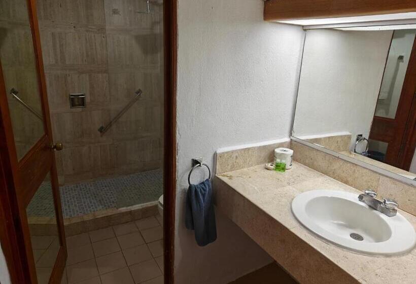 带1个卧室带观景的公寓, Plaza Huatulco Bungalows