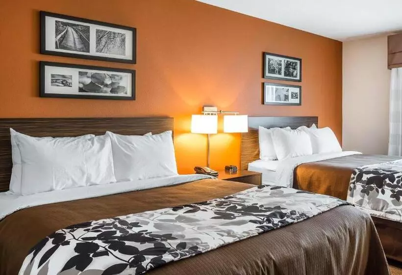 Standard-huone, Sleep Inn Cartersville