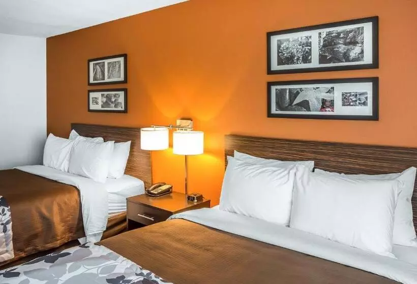 スタンダードルーム, Sleep Inn Cartersville