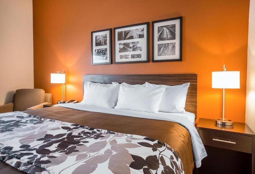 스탠다드 룸, Sleep Inn Cartersville