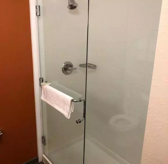 Standard-huone, Sleep Inn Cartersville
