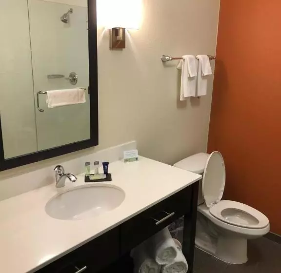 Standard-huone King-vuode, Sleep Inn Cartersville