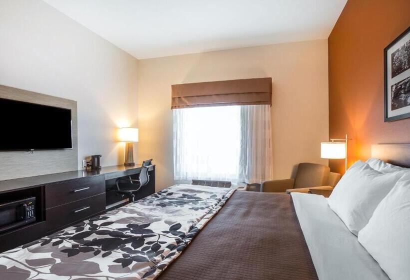스탠다드 룸 킹사이즈 침대, Sleep Inn Cartersville