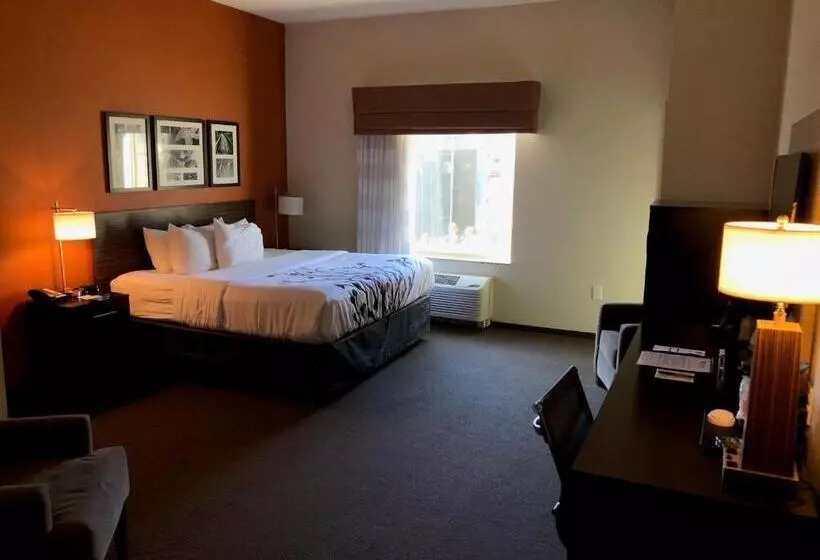 Standard-invahuone King-vuode, Sleep Inn Cartersville