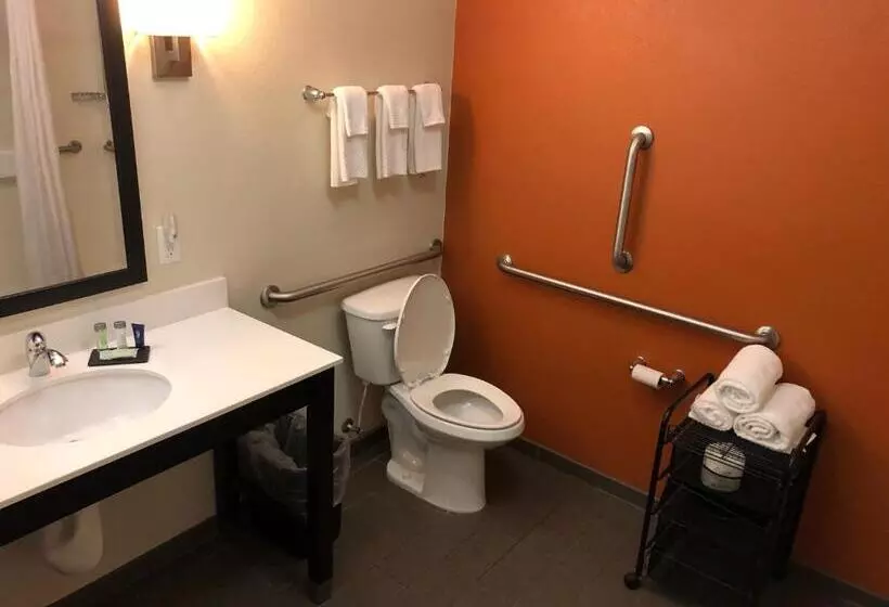 Standard-invahuone King-vuode, Sleep Inn Cartersville