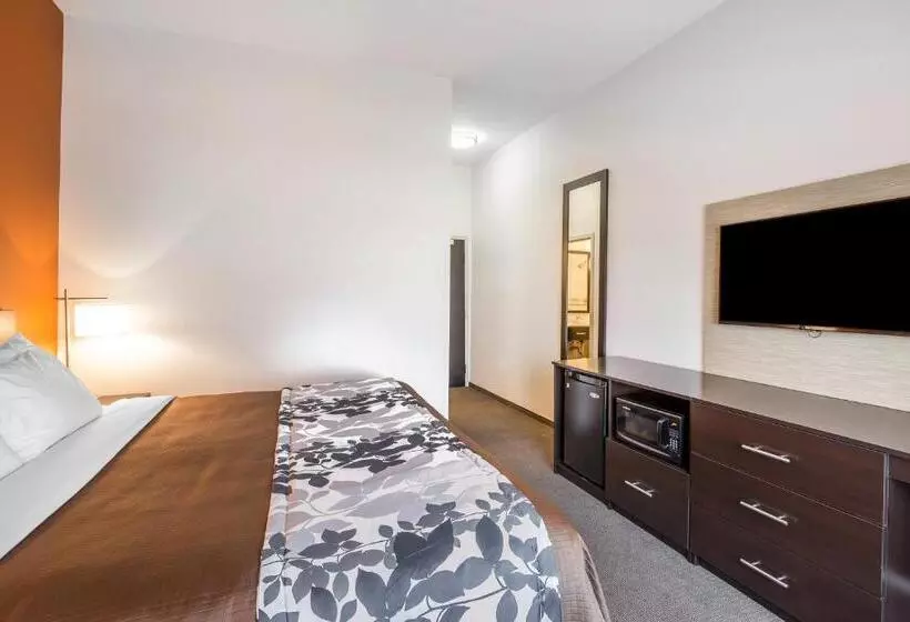 Standard-invahuone King-vuode, Sleep Inn Cartersville