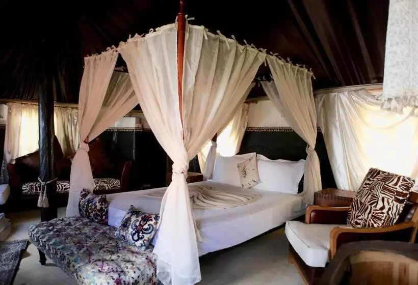 اتاق لوکس, Riad Cle De Sol