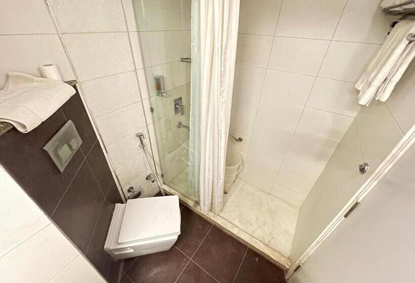 اتاق لوکس, Surasena Regal Vista Agra