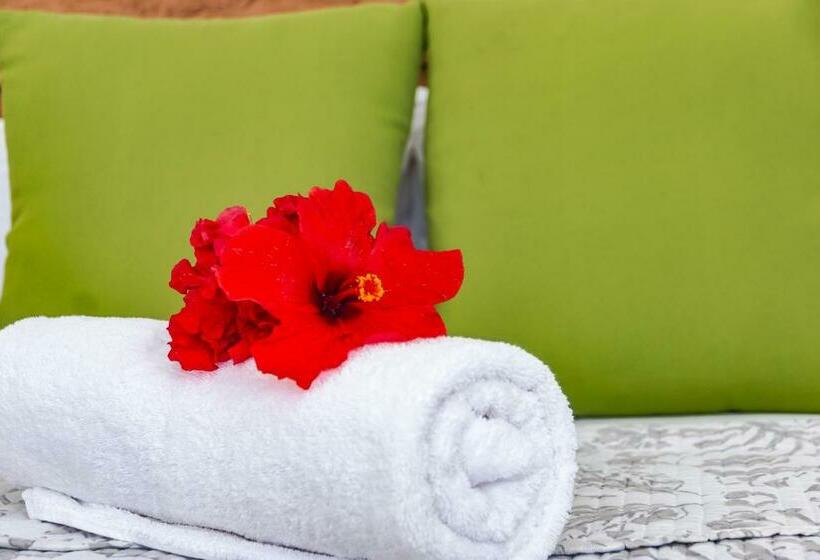 اتاق استاندارد, Le Manglier