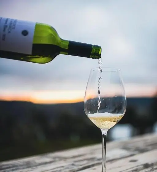スタンダードバンガロー, Bungalow Miramar & Jeronimo At Casa Marin Vineyards