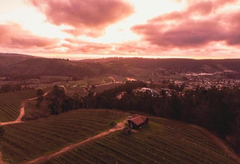 Бунгало Стандарт, Bungalow Miramar & Jeronimo At Casa Marin Vineyards
