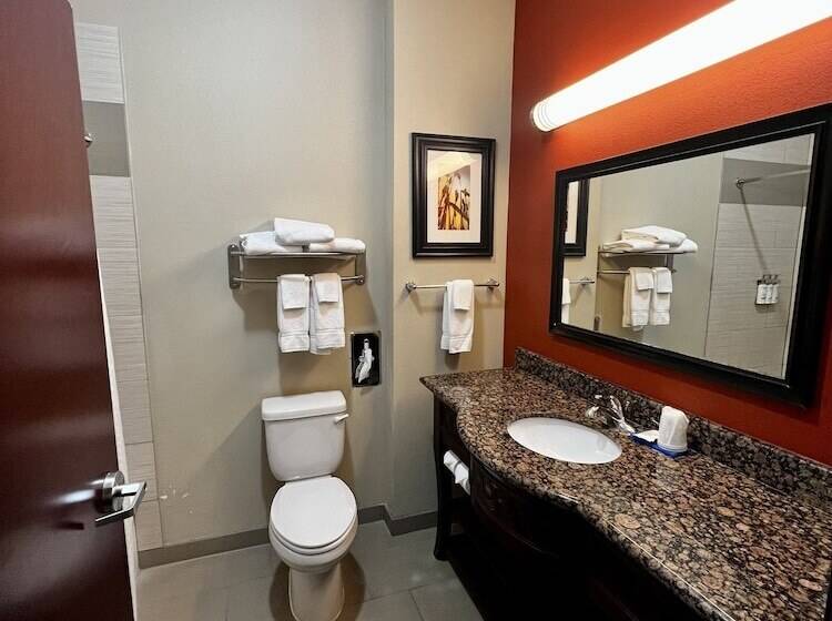 Номер Стандарт, Holiday Inn Express Alva, An Ihg