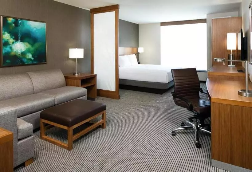 キングサイズベッドのスタンダードルーム, Hyatt Place Kansas City Lenexa City Center