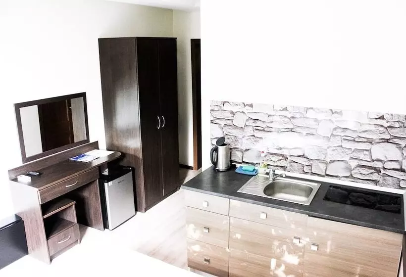 استودیو استاندارد با بالکن, Oplot Apartments