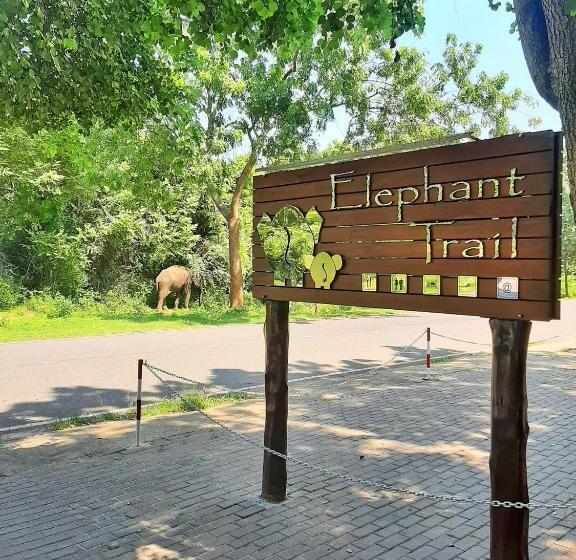 스탠다드 트리플 룸, Elephant Trail