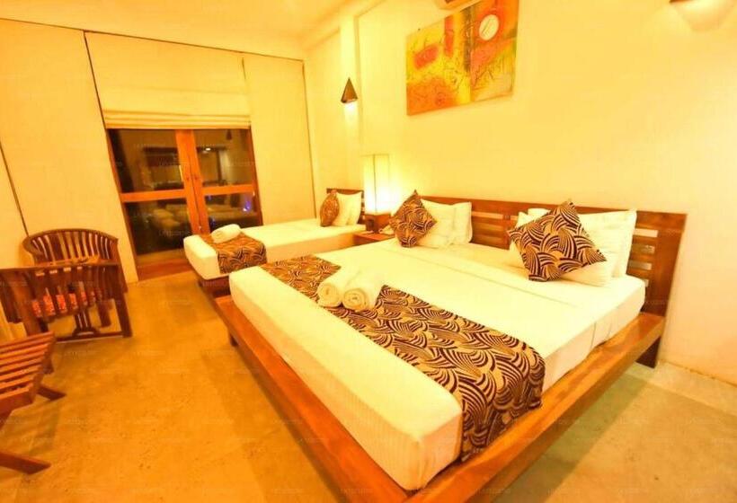 디럭스 트리플 룸, Elephant Trail