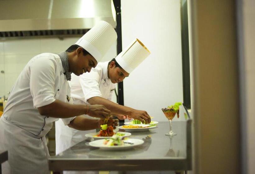 디럭스 룸, Elephant Trail