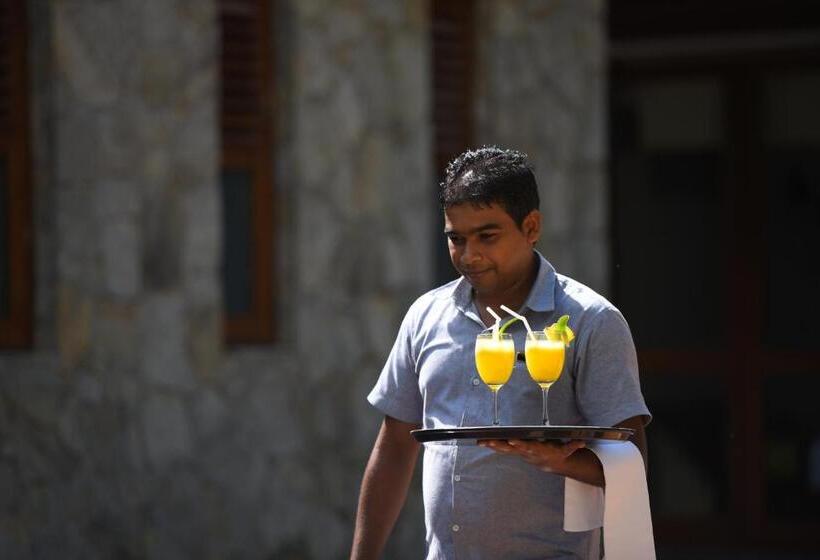 디럭스 트리플 룸, Elephant Trail