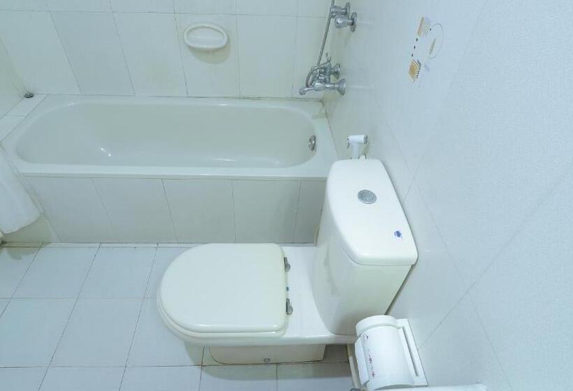 سوییت اجرایی, Metro International