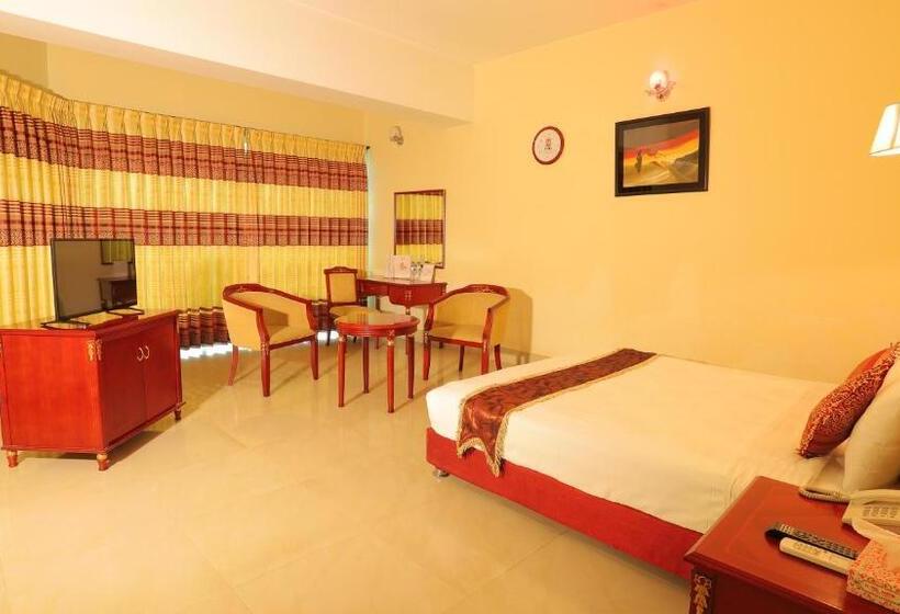 سوییت اجرایی, Metro International