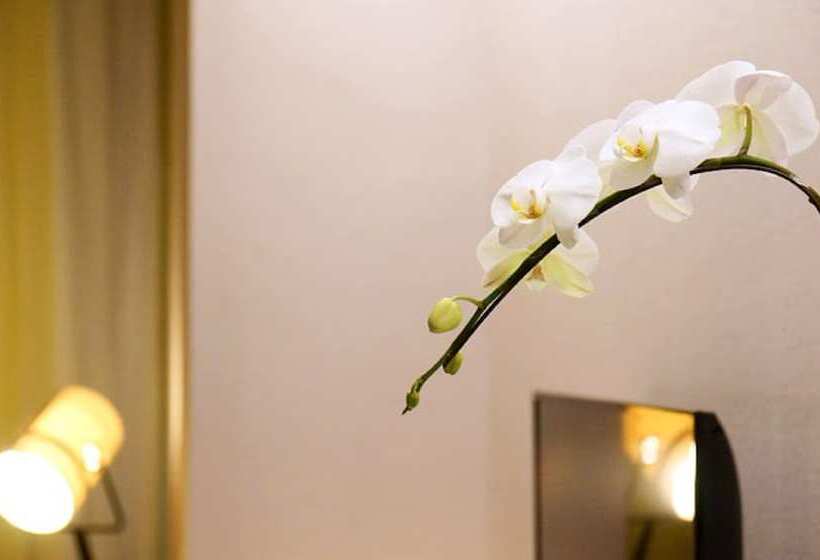 اتاق سوپریور, Royal Beitou