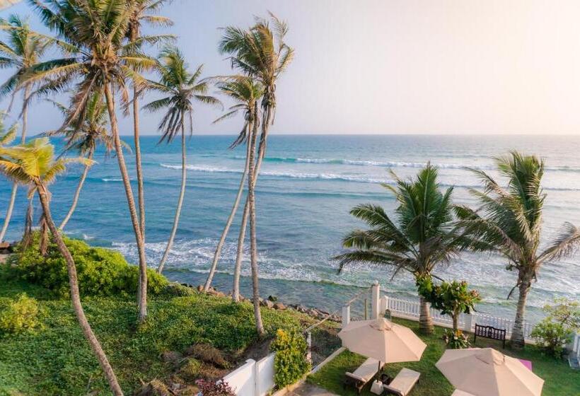 디럭스 스위트 바다 전망, Surf Station