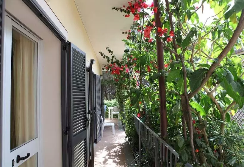 スタンダード４人部屋, Villa Wanda