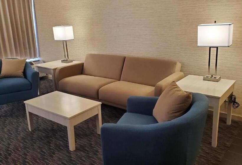 غرفة قياسية فردية, Illinois Beach