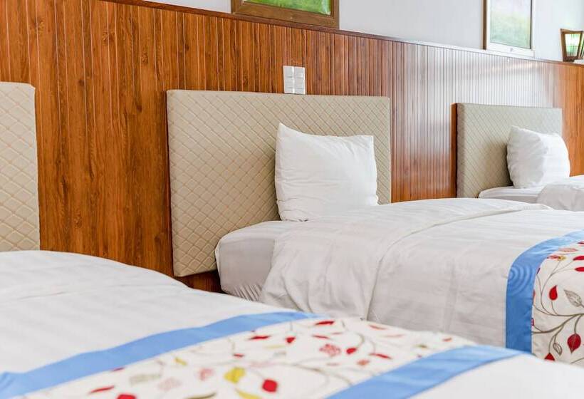 اتاق سوپریور سه تخته, Binh An Nhien