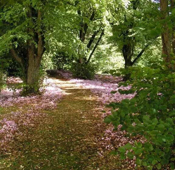 テラス付スーペリアルーム, Château De Ternay