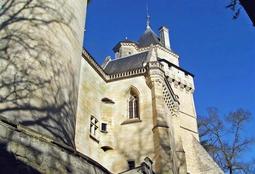 テラス付スーペリアルーム, Château De Ternay