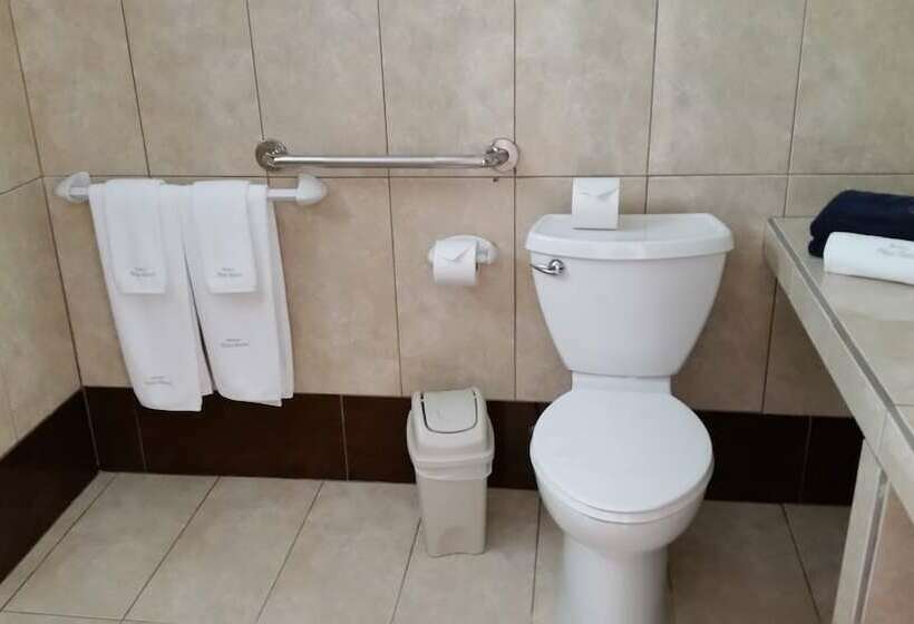 장애인을 위한 스탠다드 룸, Arenas En Punta Leona