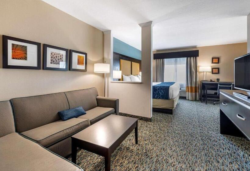 Люкс Кровать Кинг, Comfort Suites Fort Lauderdale Airport South & Cruise Port