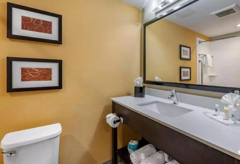 身障者適用スイートルーム, Comfort Suites Fort Lauderdale Airport South & Cruise Port