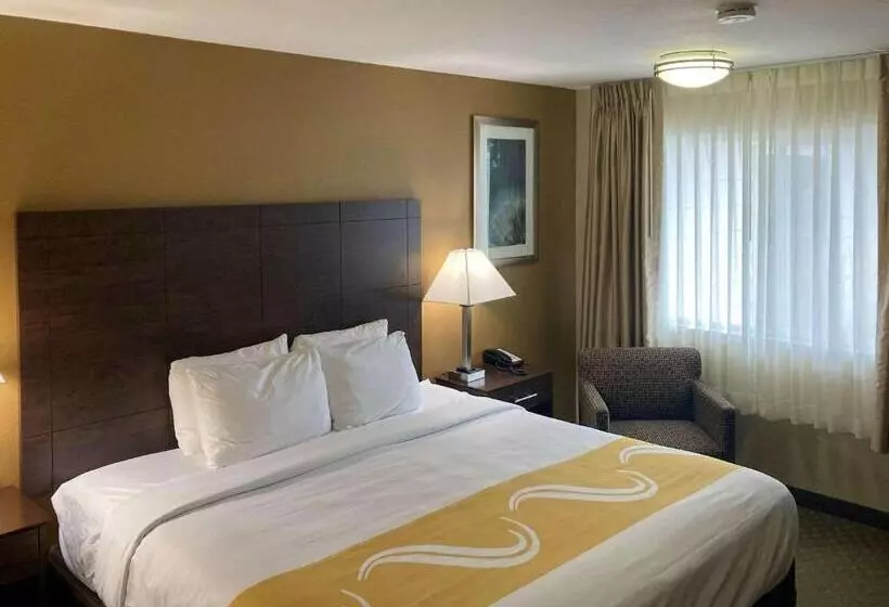 キングサイズベッドのスタンダードルーム, Quality Inn