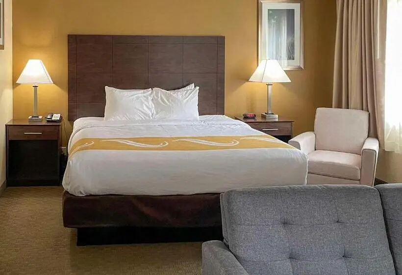 キングサイズベッドのスタンダードルーム, Quality Inn Ontario