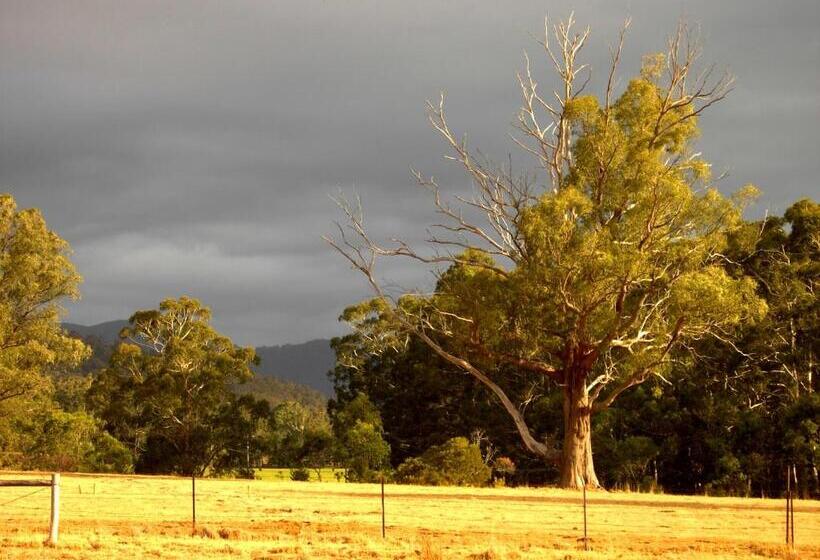 בית, חדר שינה 1, Marysville Garden Cottages
