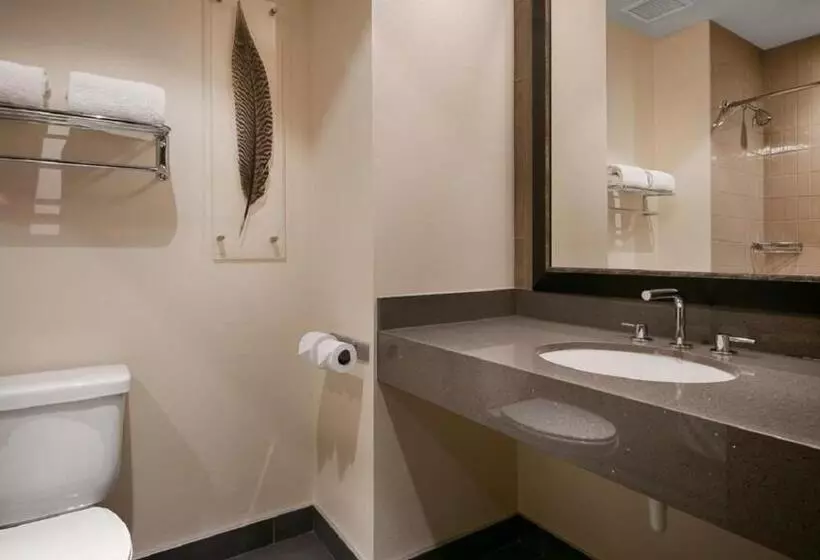 身障者適用キングサイズベッドルーム, Best Western Premier Boulder Falls Inn