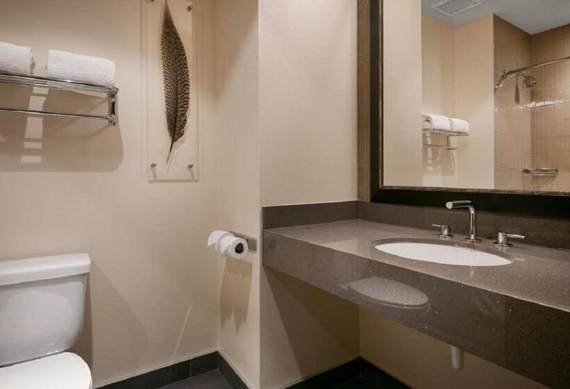 غرفة قياسية لذوى الاحتياجات الخاصة, Best Western Premier Boulder Falls Inn