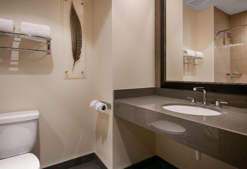 장애인을 위한 스탠다드 룸, Best Western Premier Boulder Falls Inn