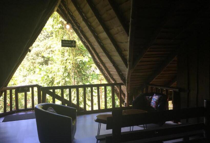 اتاق استاندارد با چشم‌انداز باغ, Samsara