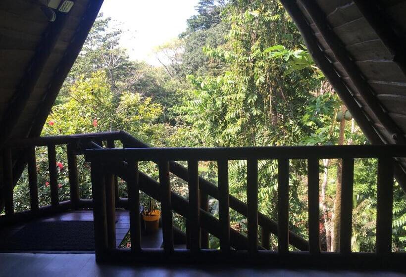 اتاق استاندارد با چشم‌انداز باغ, Samsara