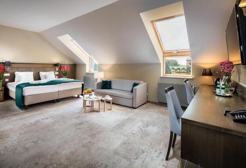 豪华家庭房间, Szary Residence