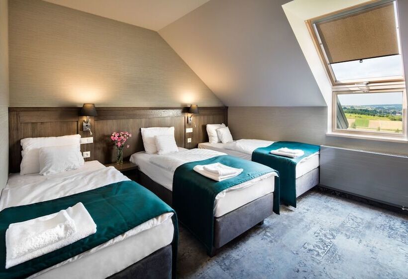 Номер Стандарт Трехместный, Szary Residence