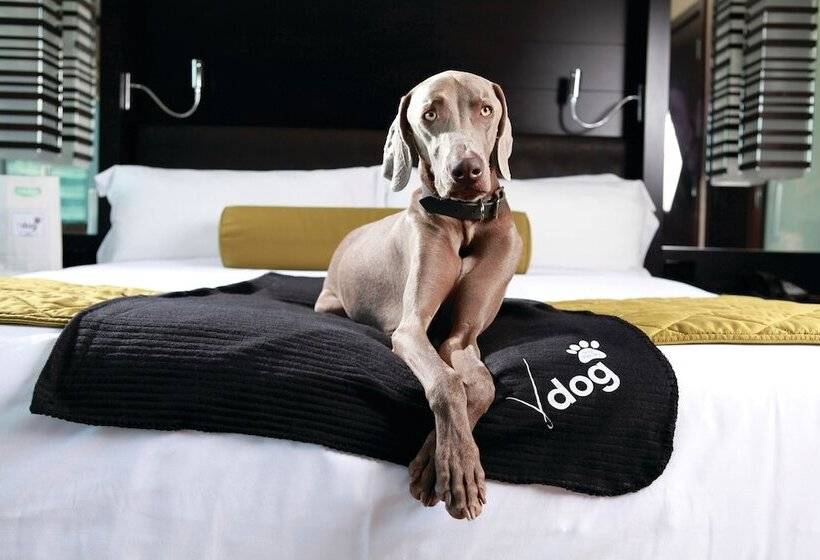 スタンダードスタジオ, Vdara Hotel & Spa at Aria Las Vegas