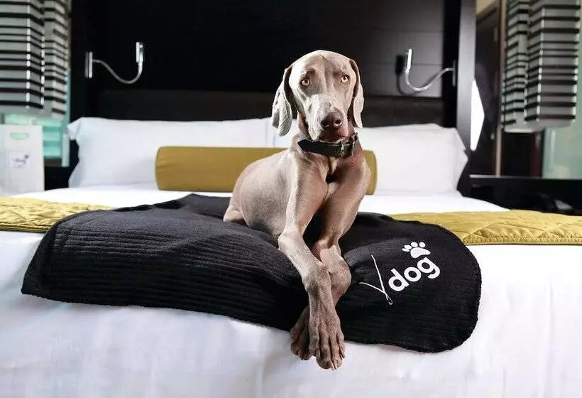 Standard-studio, Vdara Hotel & Spa at Aria Las Vegas